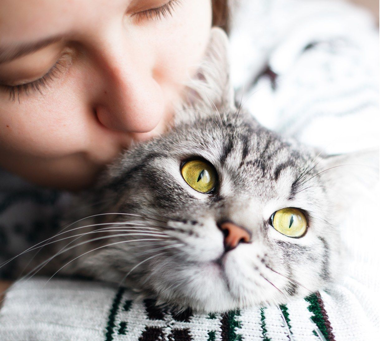 Una joven abraza a un gato atigrado de ojos verdes