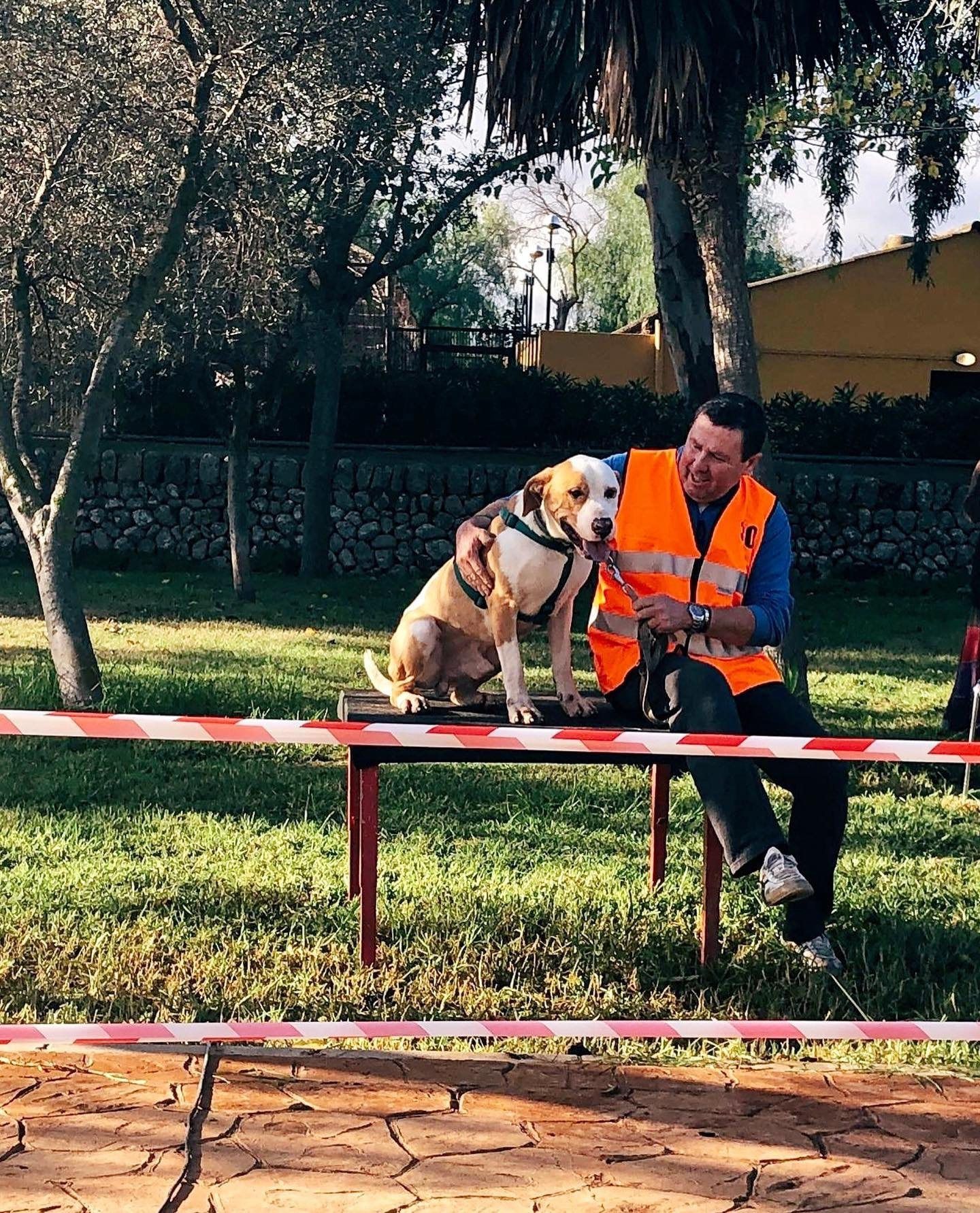 Un voluntario con un perro sobre un banco en un desfile solidario