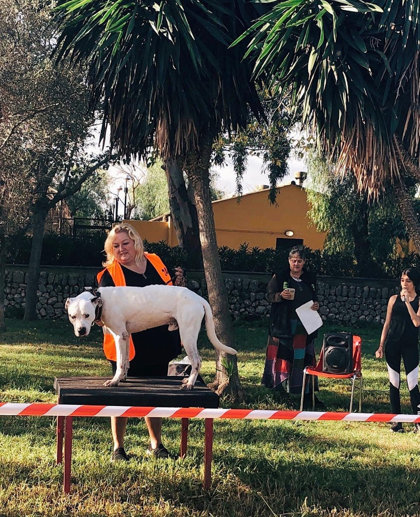 Perro blanco subido a una plataforma en un desfile en Son Reus