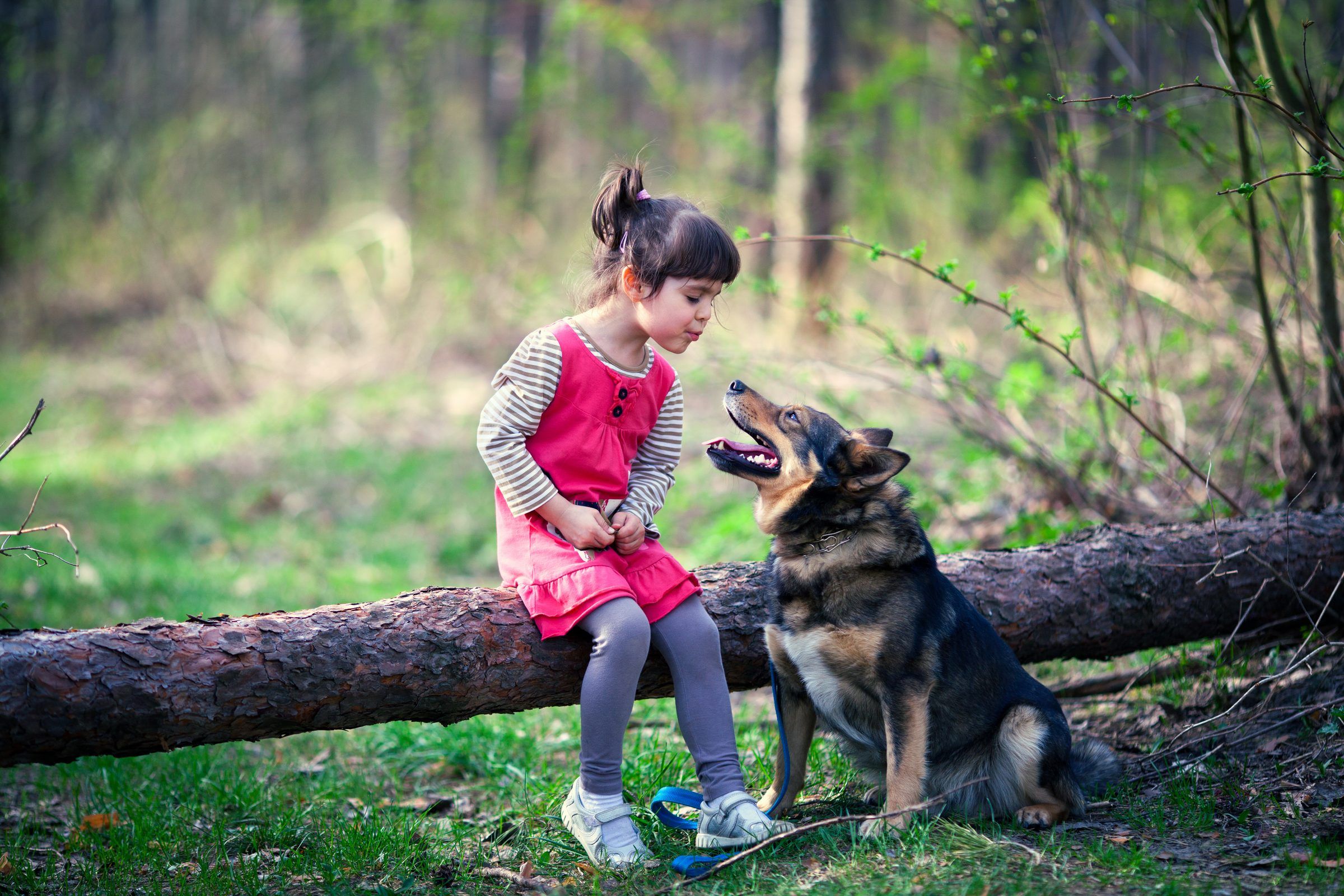 Una niña sentada en un tronco con un perro a su lado